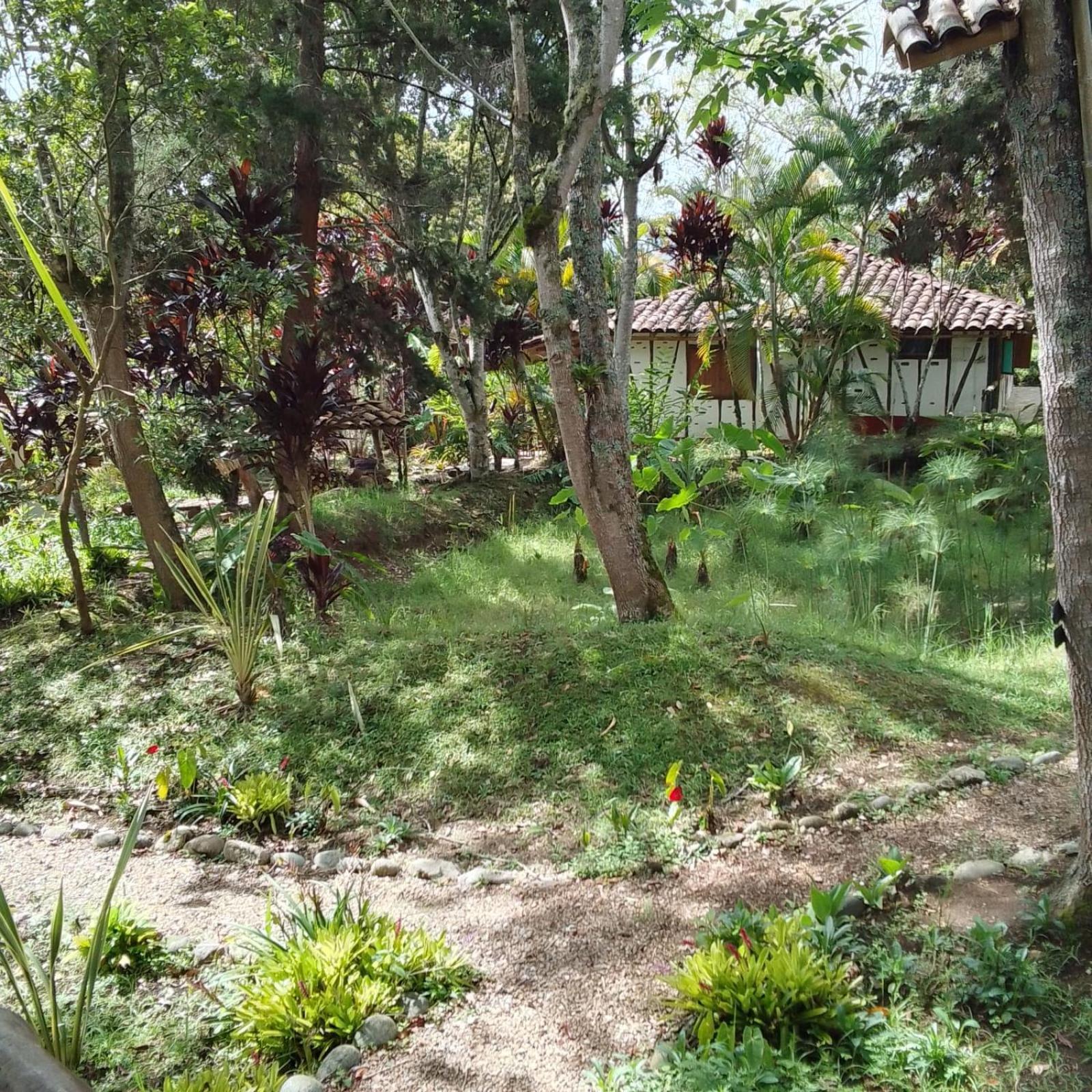 Hotel La Casa De Francois San Agustin  Ngoại thất bức ảnh